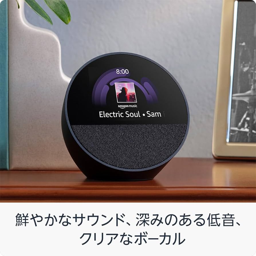 EchoSpotの画像